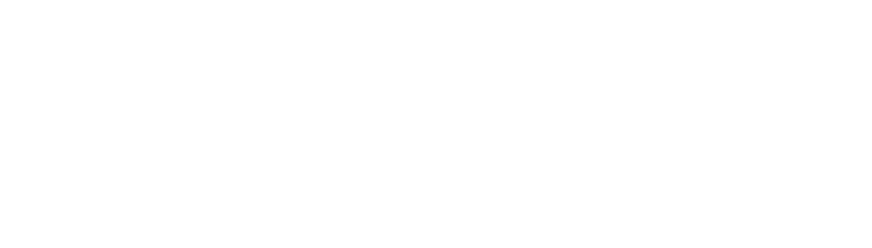 logo itot usa